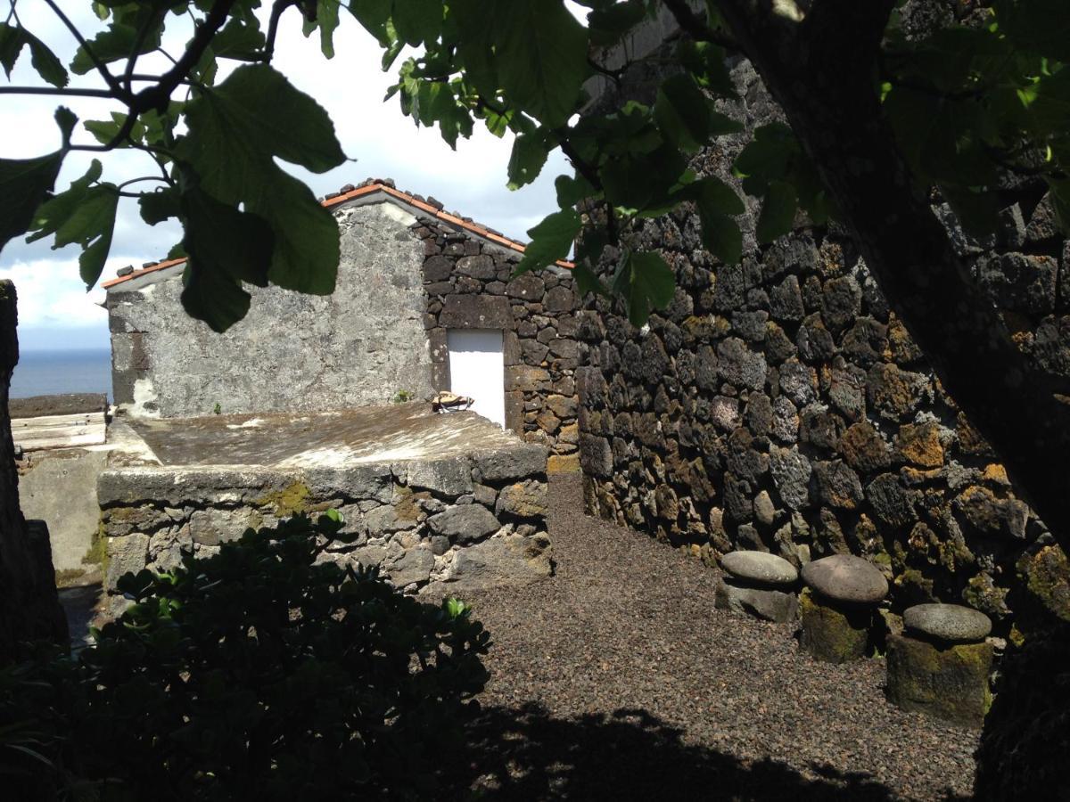 Santo Antonio Casa Do Castanheiro别墅 外观 照片